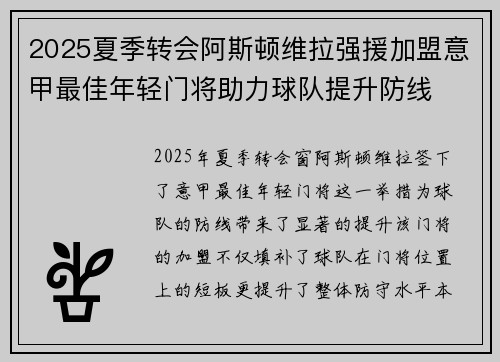 2025夏季转会阿斯顿维拉强援加盟意甲最佳年轻门将助力球队提升防线